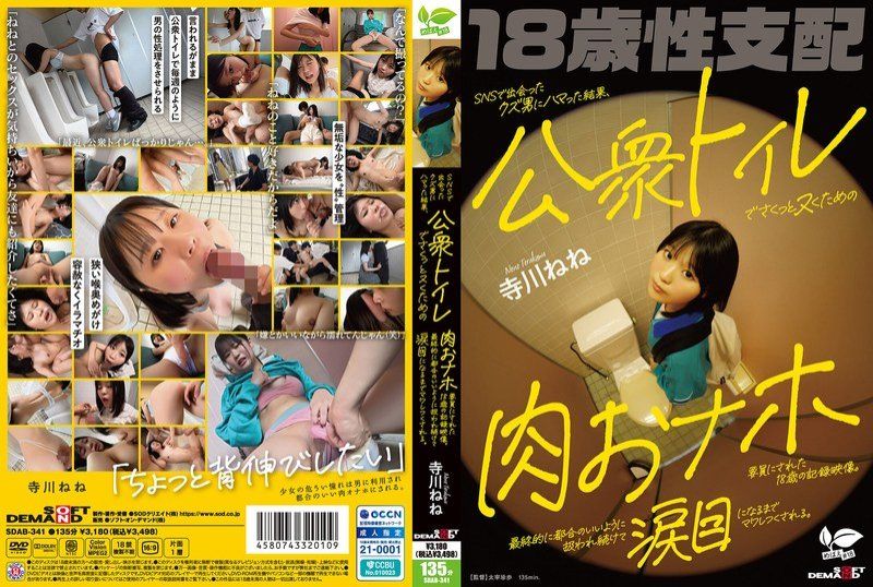 SDAB-341 迷恋在社交网站上认识的渣男，最终成为他用来在公共厕所里轻鬆解决性需求的肉体工具的18岁记录影片。被持续地处理得符合他方便的方式，直到眼泪模样被完全利用。 寺川宁宁