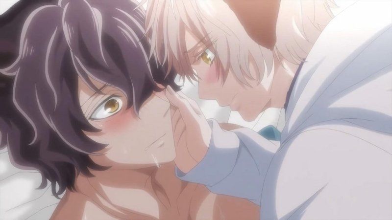  森のくまさん、冬眠中。【第01話】 [中文字幕]